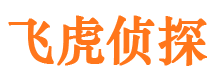 佳县市场调查